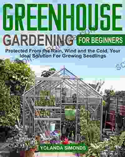 Greenhouse Gardening For Beginners: Protected From The Rain Wind And The Cold Your Ideal Solution For Growing Seedlings