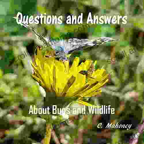 Questions And Answers About Bugs And Wildlife