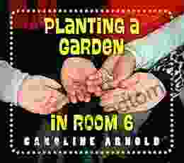 Planting A Garden In Room 6: From Seeds To Salad (Life Cycles In Room 6)