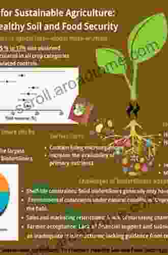 Biofertilizers For Sustainable Agriculture And Environment (Soil Biology 55)