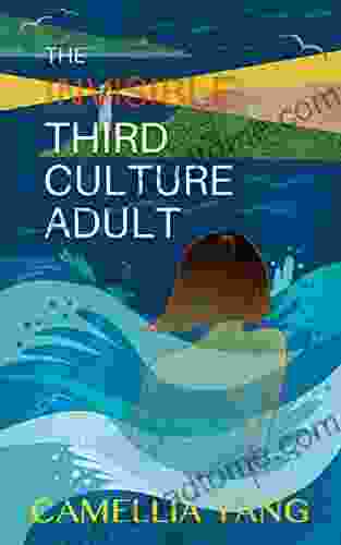 The Invisible Third Culture Adult: A About Meaning And Identity