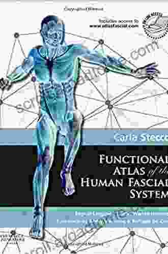 Functional Atlas Of The Human Fascial System