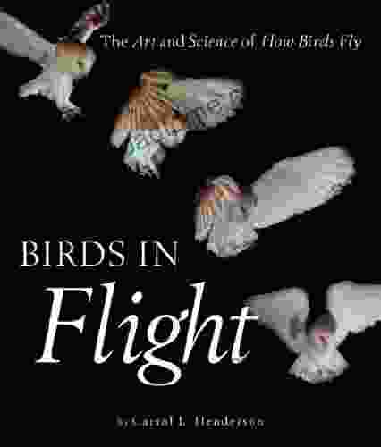 Birds In Flight: The Art And Science Of How Birds Fly