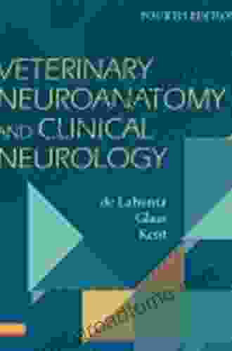 Veterinary Neuroanatomy And Clinical Neurology E